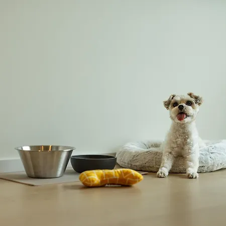 Noto لوكسمبورغ